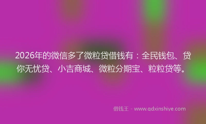 2026年的微信多了微粒贷借钱有:全民钱包、贷你无忧贷、小吉商城、微粒分期宝、粒粒贷等。
