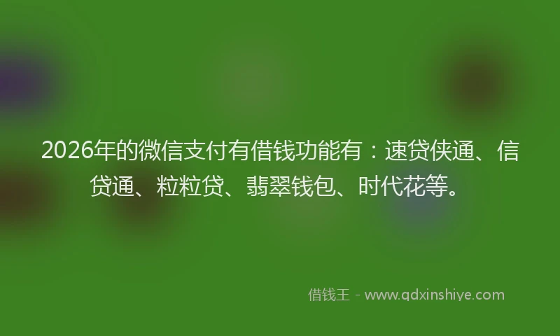 2026年的微信支付有借钱功能有:速贷侠通、信贷通、粒粒贷、翡翠钱包、时代花等。