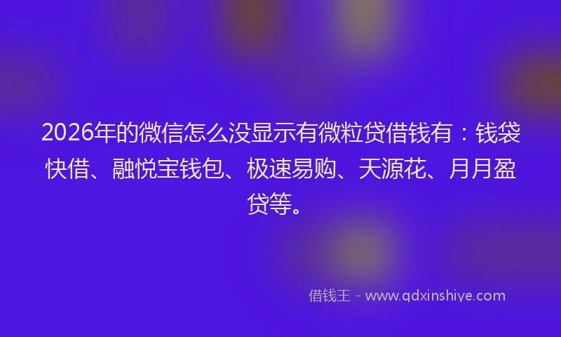 2026年的微信怎么没显示有微粒贷借钱有：钱袋快借、融悦宝钱包、极速易购、天源花、月月盈贷等。