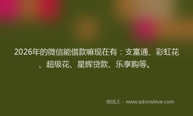 2026年的微信能借款嘛现在有：支富通、彩虹花、超级花、星辉贷款、乐享购等。