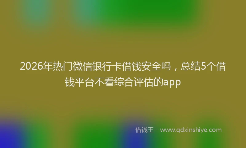 2026年热门微信银行卡借钱安全吗，总结5个借钱平台不看综合评估的app
