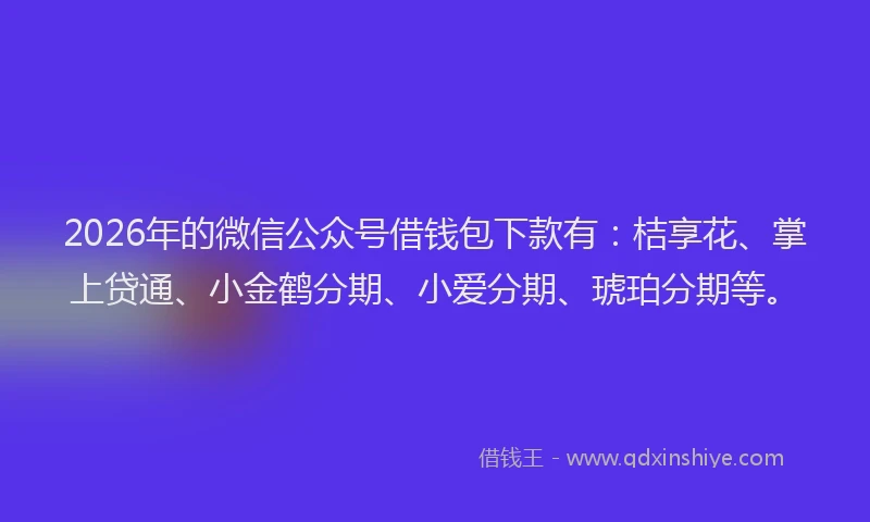 2026年的微信公众号借钱包下款有：桔享花、掌上贷通、小金鹤分期、小爱分期、琥珀分期等。