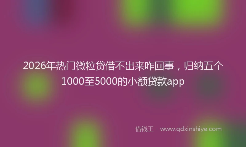 2026年热门微粒贷借不出来咋回事，归纳五个1000至5000的小额贷款app