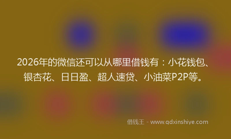 2026年的微信还可以从哪里借钱有:小花钱包、银杏花、日日盈、超人速贷、小油菜P2P等。