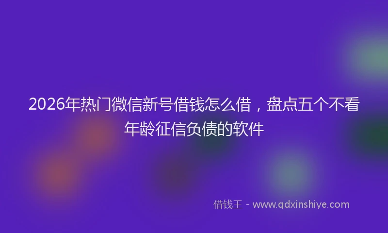 2026年热门微信新号借钱怎么借，盘点五个不看年龄征信负债的软件