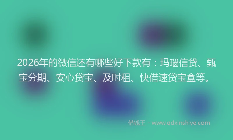 2026年的微信还有哪些好下款有：玛瑙信贷、甄宝分期、安心贷宝、及时租、快借速贷宝盒等。