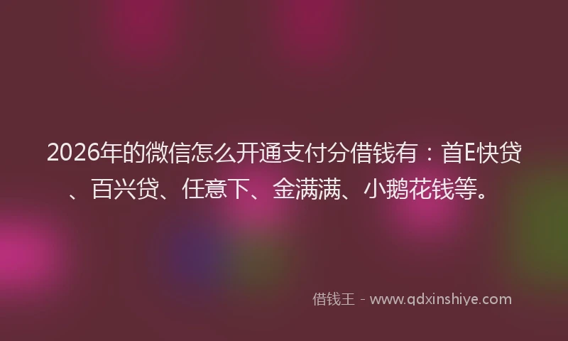 2026年的微信怎么开通支付分借钱有：首E快贷、百兴贷、任意下、金满满、小鹅花钱等。