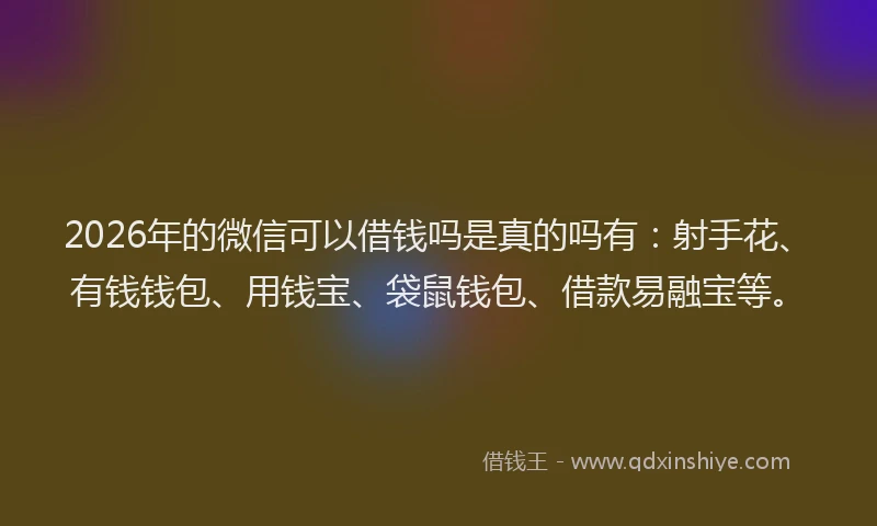 2026年的微信可以借钱吗是真的吗有：射手花、有钱钱包、用钱宝、袋鼠钱包、借款易融宝等。