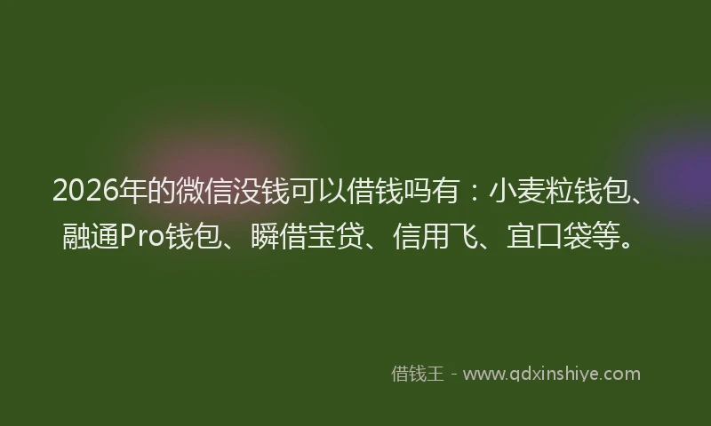 2026年的微信没钱可以借钱吗有：小麦粒钱包、融通Pro钱包、瞬借宝贷、信用飞、宜口袋等。