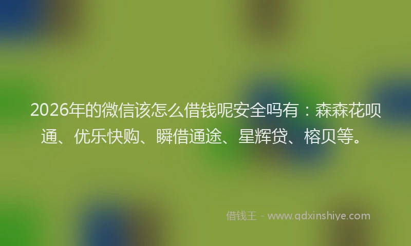 2026年的微信该怎么借钱呢安全吗有：森森花呗通、优乐快购、瞬借通途、星辉贷、榕贝等。