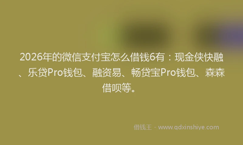 2026年的微信支付宝怎么借钱6有：现金侠快融、乐贷Pro钱包、融资易、畅贷宝Pro钱包、森森借呗等。