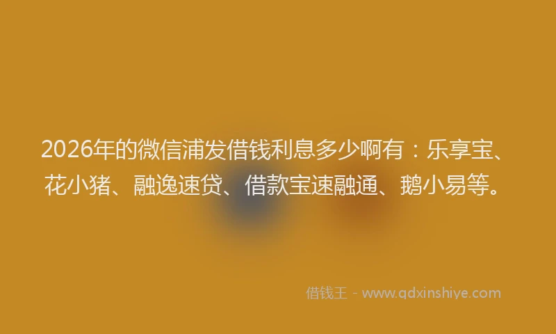 2026年的微信浦发借钱利息多少啊有：乐享宝、花小猪、融逸速贷、借款宝速融通、鹅小易等。