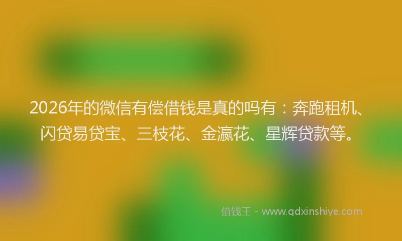 2026年的微信有偿借钱是真的吗有：奔跑租机、闪贷易贷宝、三枝花、金瀛花、星辉贷款等。