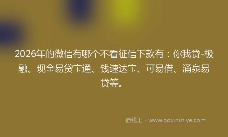 2026年的微信有哪个不看征信下款有：你我贷-极融、现金易贷宝通、钱速达宝、可易借、涌泉易贷等。