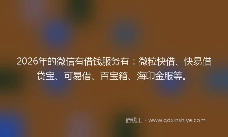 2026年的微信有借钱服务有：微粒快借、快易借贷宝、可易借、百宝箱、海印金服等。
