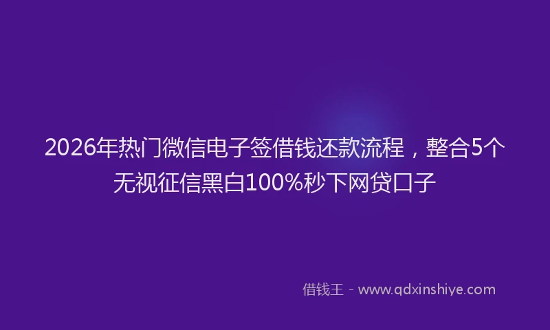 2026年热门微信电子签借钱还款流程，整合5个无视征信黑白100%秒下网贷口子
