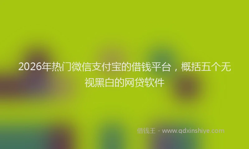 2026年热门微信支付宝的借钱平台，概括五个无视黑白的网贷软件