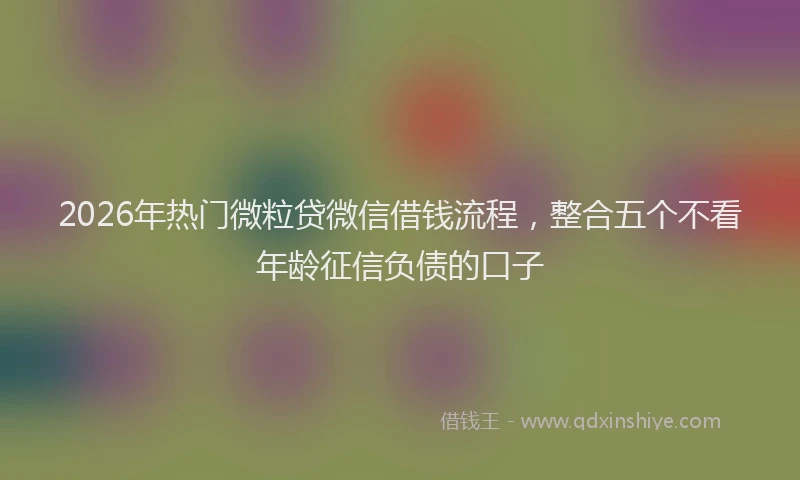 2026年热门微粒贷微信借钱流程，整合五个不看年龄征信负债的口子