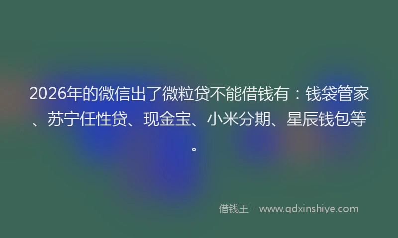 2026年的微信出了微粒贷不能借钱有：钱袋管家、苏宁任性贷、现金宝、小米分期、星辰钱包等。