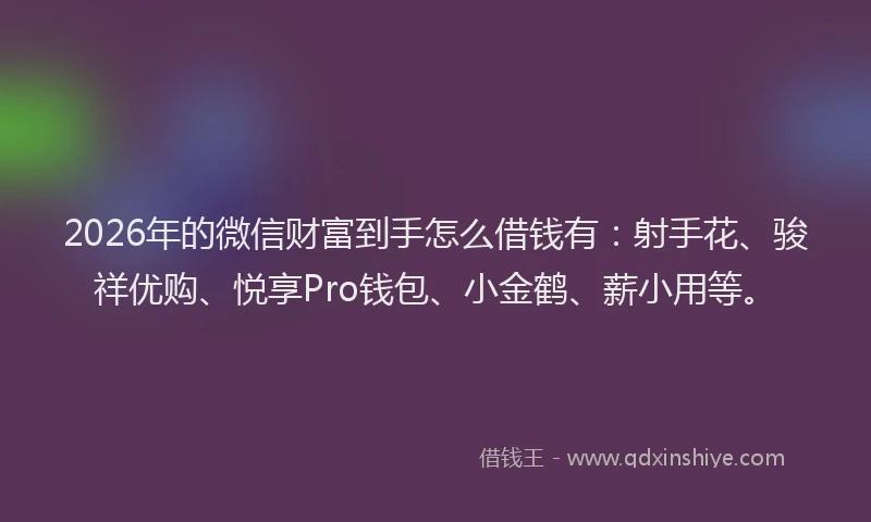 2026年的微信财富到手怎么借钱有：射手花、骏祥优购、悦享Pro钱包、小金鹤、薪小用等。