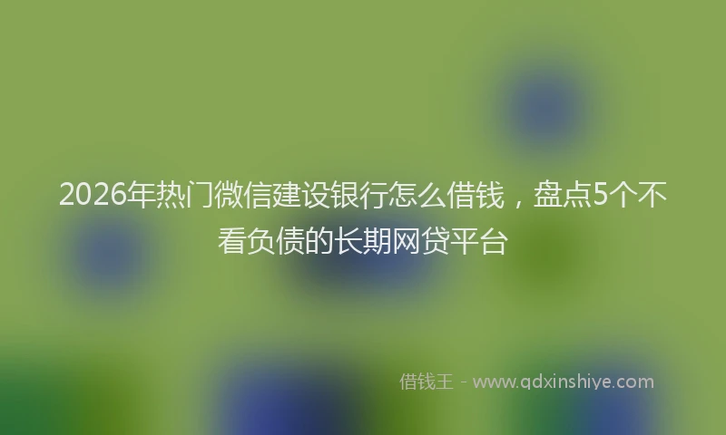 2026年热门微信建设银行怎么借钱，盘点5个不看负债的长期网贷平台