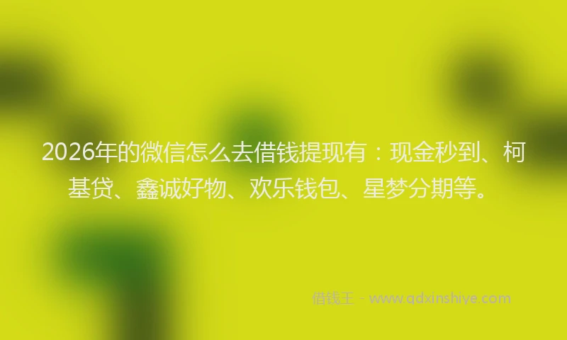2026年的微信怎么去借钱提现有：现金秒到、柯基贷、鑫诚好物、欢乐钱包、星梦分期等。