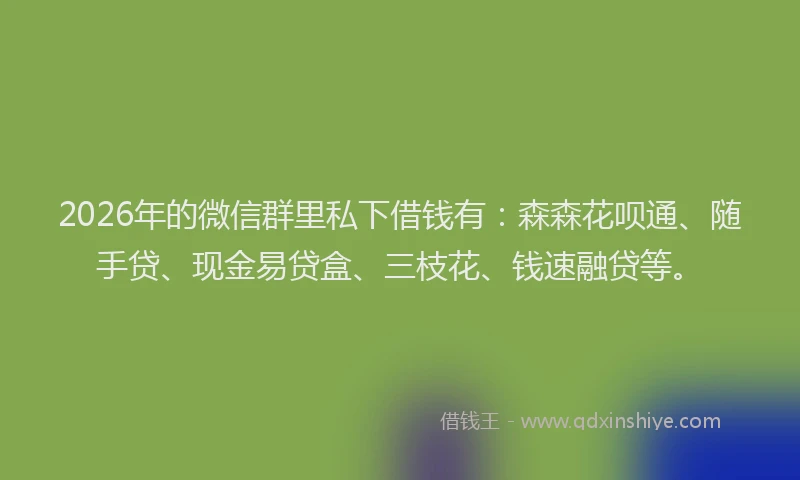 2026年的微信群里私下借钱有：森森花呗通、随手贷、现金易贷盒、三枝花、钱速融贷等。