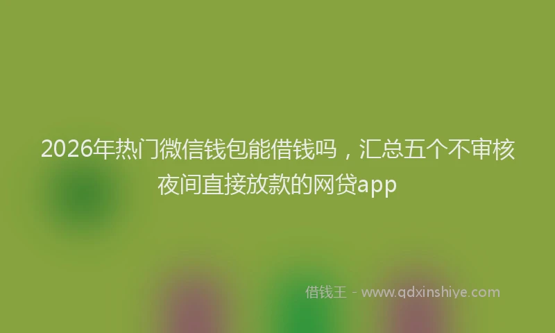 2026年热门微信钱包能借钱吗,汇总五个不审核夜间直接放款的网贷app