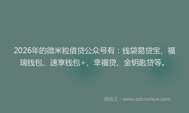 2026年的微米粒借贷公众号有：钱袋易贷宝、福瑞钱包、速享钱包+、幸福贷、金钥匙贷等。
