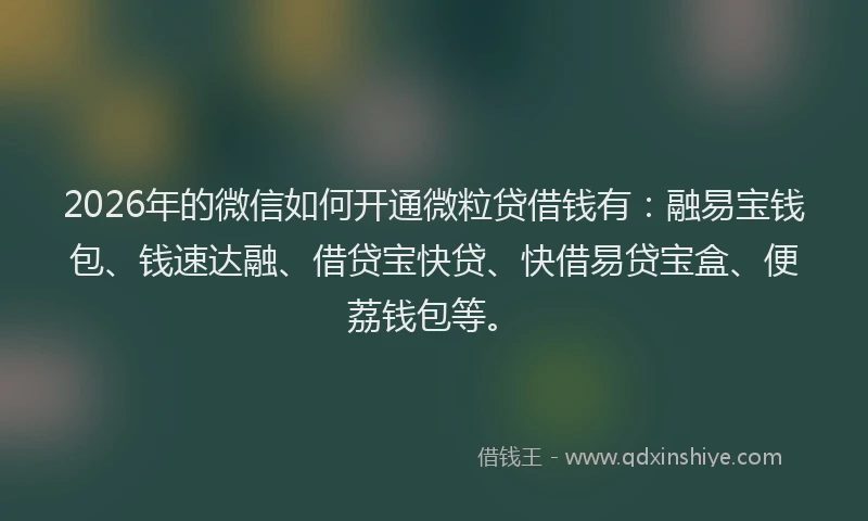 2026年的微信如何开通微粒贷借钱有：融易宝钱包、钱速达融、借贷宝快贷、快借易贷宝盒、便荔钱包等。