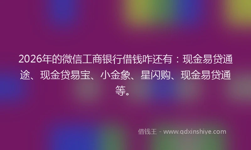 2026年的微信工商银行借钱咋还有：现金易贷通途、现金贷易宝、小金象、星闪购、现金易贷通等。