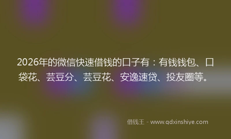 2026年的微信快速借钱的口子有：有钱钱包、口袋花、芸豆分、芸豆花、安逸速贷、投友圈等。