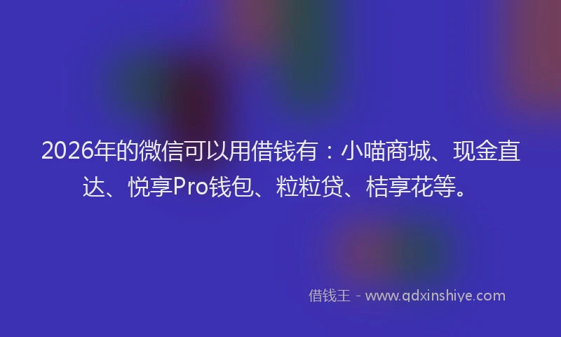 2026年的微信可以用借钱有:小喵商城、现金直达、悦享Pro钱包、粒粒贷、桔享花等。