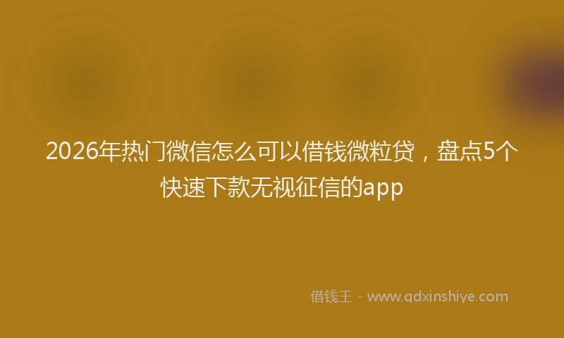 2026年热门微信怎么可以借钱微粒贷,盘点5个快速下款无视征信的app