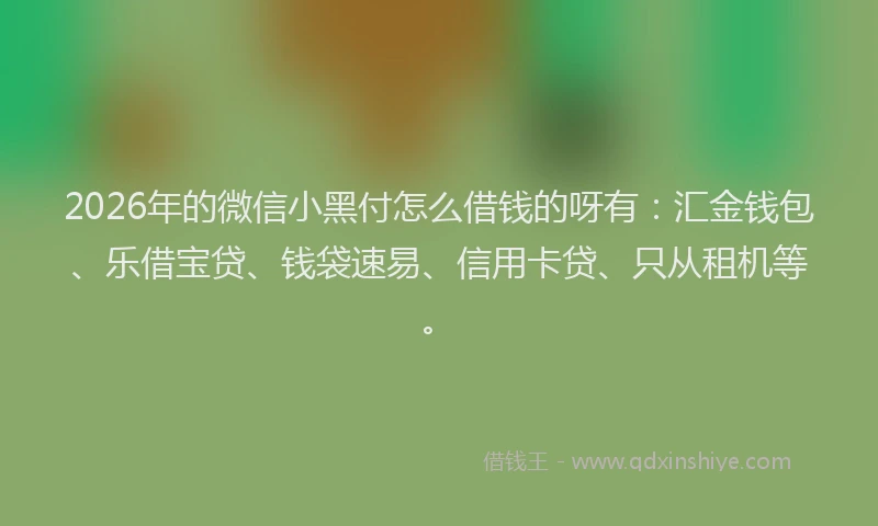 2026年的微信小黑付怎么借钱的呀有：汇金钱包、乐借宝贷、钱袋速易、信用卡贷、只从租机等。