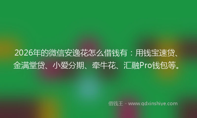 2026年的微信安逸花怎么借钱有：用钱宝速贷、金满堂贷、小爱分期、牵牛花、汇融Pro钱包等。