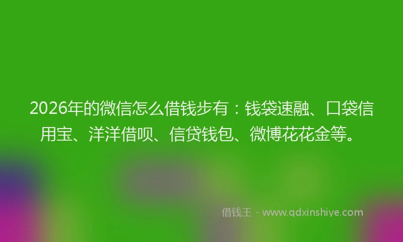2026年的微信怎么借钱步有：钱袋速融、口袋信用宝、洋洋借呗、信贷钱包、微博花花金等。