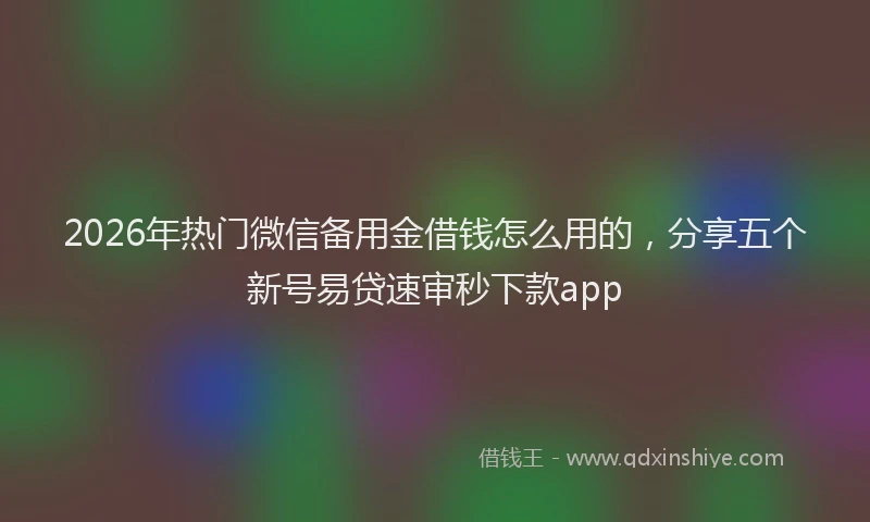 2026年热门微信备用金借钱怎么用的，分享五个新号易贷速审秒下款app