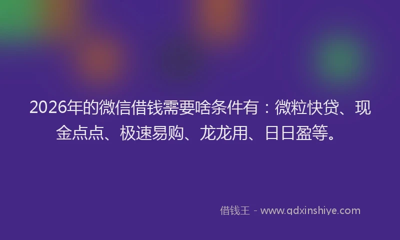 2026年的微信借钱需要啥条件有：微粒快贷、现金点点、极速易购、龙龙用、日日盈等。