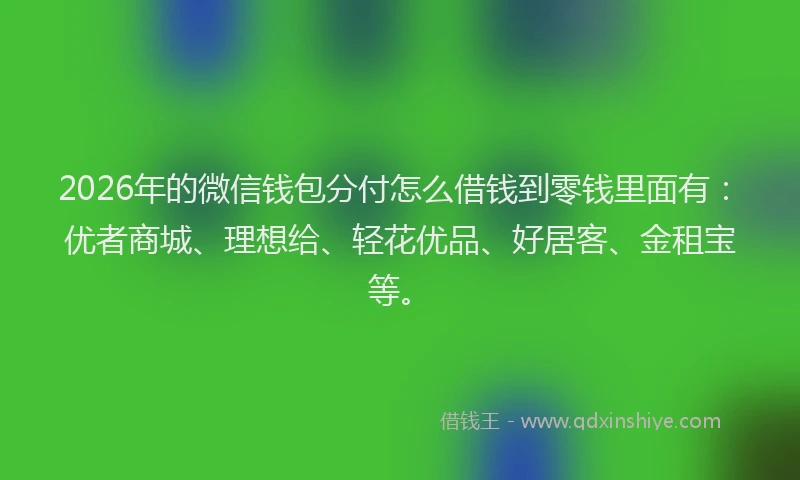 2026年的微信钱包分付怎么借钱到零钱里面有：优者商城、理想给、轻花优品、好居客、金租宝等。