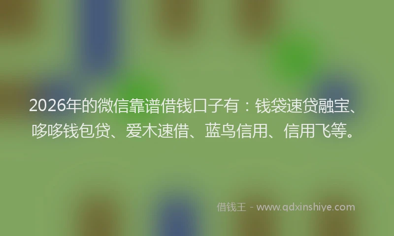 2026年的微信靠谱借钱口子有：钱袋速贷融宝、哆哆钱包贷、爱木速借、蓝鸟信用、信用飞等。