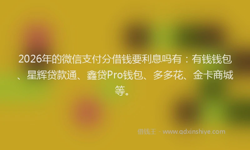 2026年的微信支付分借钱要利息吗有：有钱钱包、星辉贷款通、鑫贷Pro钱包、多多花、金卡商城等。