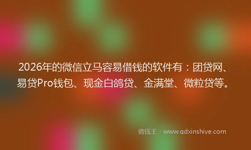 2026年的微信立马容易借钱的软件有：团贷网、易贷Pro钱包、现金白鸽贷、金满堂、微粒贷等。