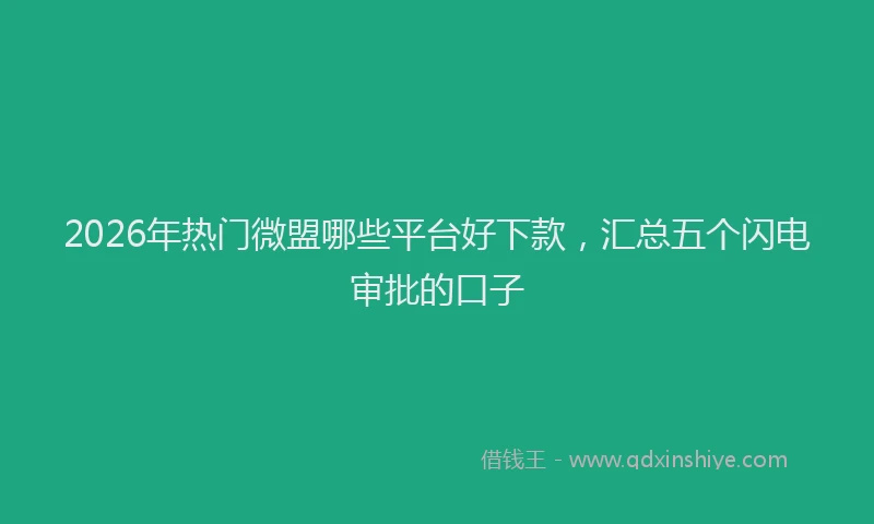 2026年热门微盟哪些平台好下款，汇总五个闪电审批的口子
