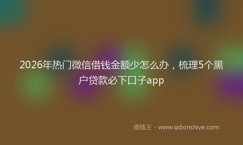 2026年热门微信借钱金额少怎么办，梳理5个黑户贷款必下口子app