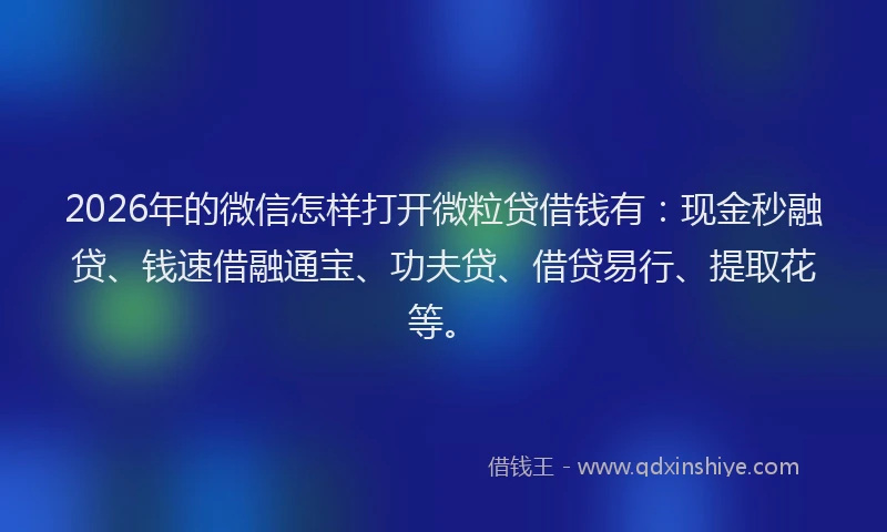 2026年的微信怎样打开微粒贷借钱有：现金秒融贷、钱速借融通宝、功夫贷、借贷易行、提取花等。