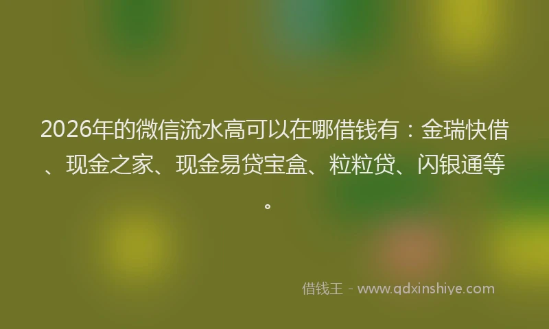 2026年的微信流水高可以在哪借钱有:金瑞快借、现金之家、现金易贷宝盒、粒粒贷、闪银通等。