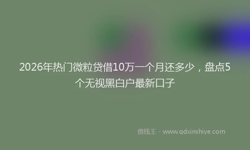 2026年热门微粒贷借10万一个月还多少，盘点5个无视黑白户最新口子