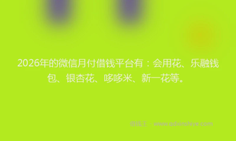 2026年的微信月付借钱平台有：会用花、乐融钱包、银杏花、哆哆米、新一花等。