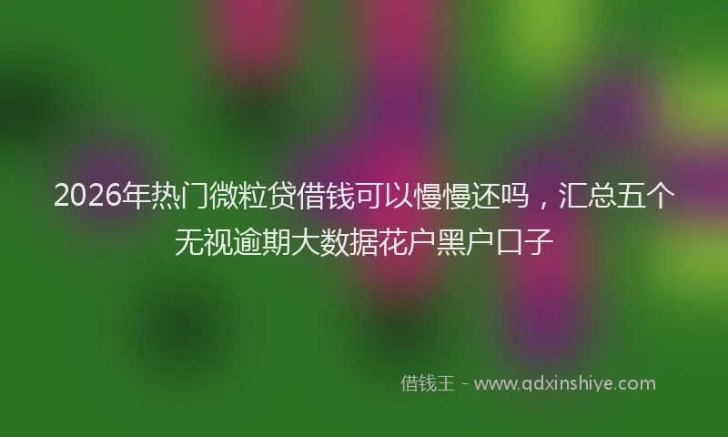 2026年热门微粒贷借钱可以慢慢还吗，汇总五个无视逾期大数据花户黑户口子